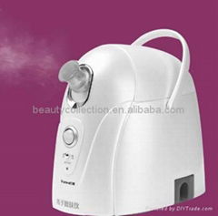 Ionic Facial Steamer, Facial Sauna 