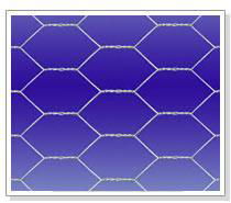 Hexagonal Wire Netting