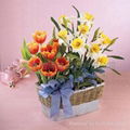 flower vase ,basket  5