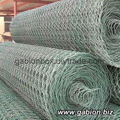 Hexagonal Wire Netting