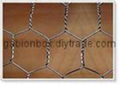 Hexagonal wire mesh