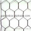 Hexagonal wire mesh 2