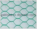 Hexagonal wire mesh 3