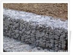 hexagonal steel mesh