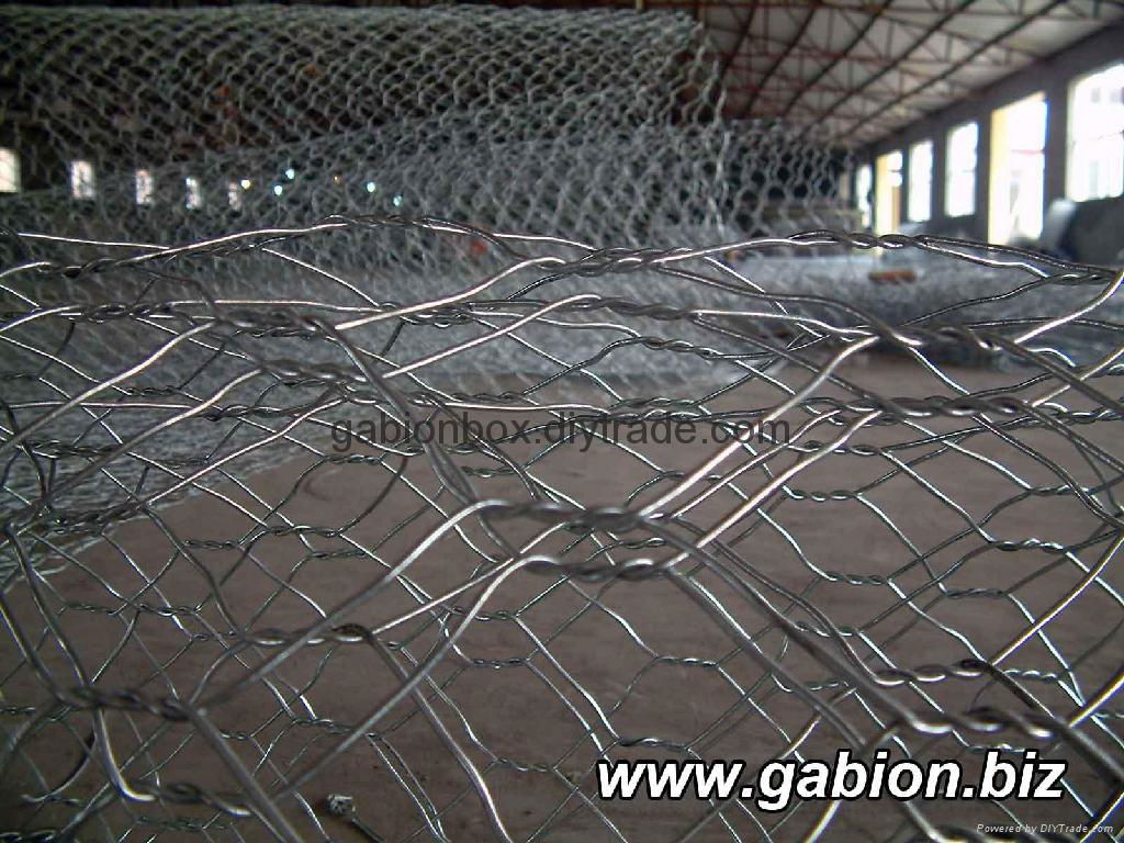 gabion wire mesh 3