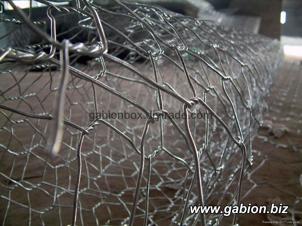 gabion wire mesh 4