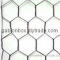 hexagonal wire netting 1