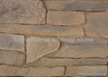 southern ledgerstone