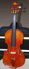 violin