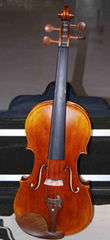 violin