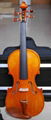 violin