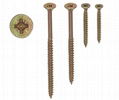 chipboard screw 1