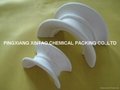 Ceramic Random Packing  5