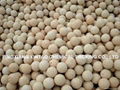 Refractory Ball