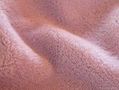 coral  fleece fabric   1