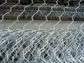 hexagonal wire netting