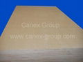 Birch Plywood/ Russian Birch Plywood 1