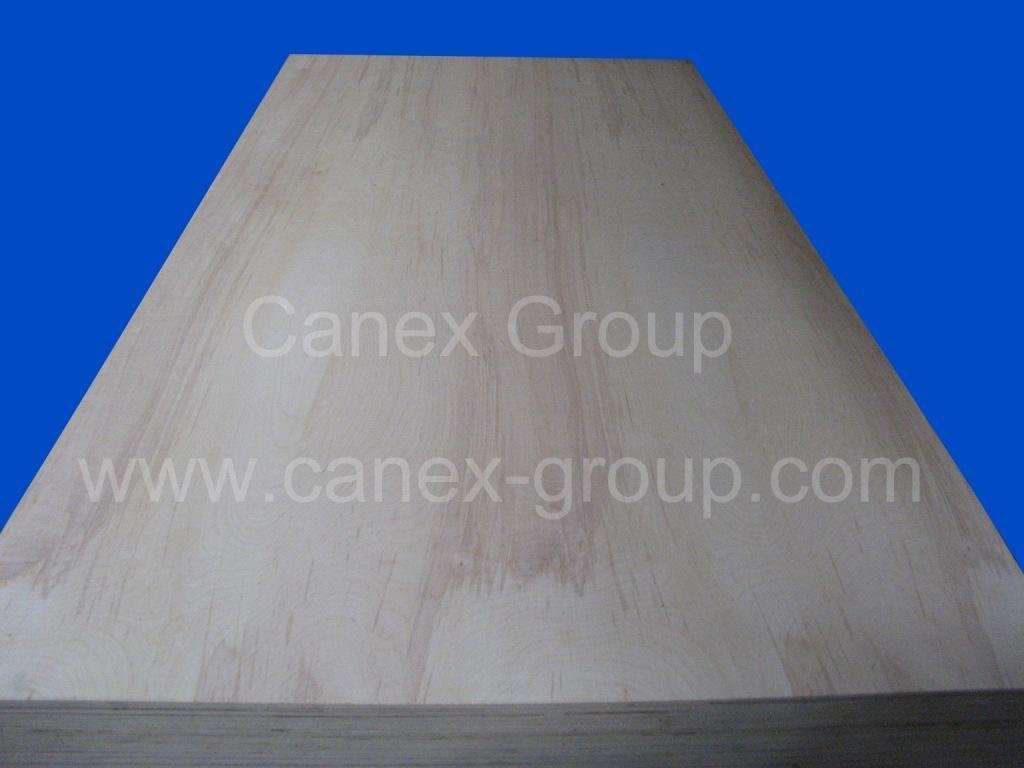 Pine Plywood / CDX Plywood 