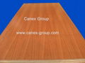 UV Lacquered / UV Pre-finished Plywood 1