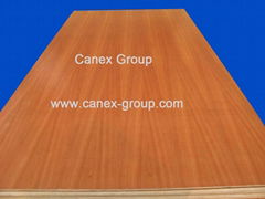 UV Lacquered / UV Pre-finished Plywood