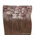 clips in hair extension 1