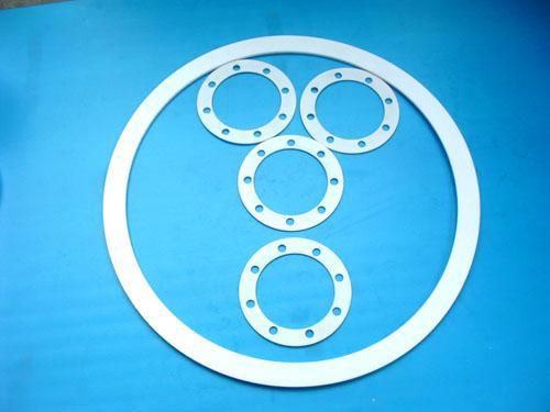 ptfe/teflon gasket