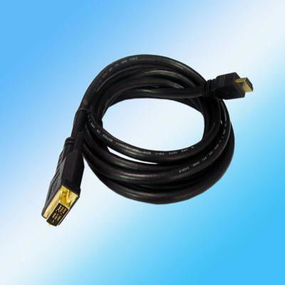 HDMI/DVI Cable 3