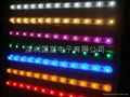 30CM 12-5050 LED  strip 1