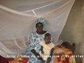 Long lasting insecticide treated nets for voting of government  ITNs 2