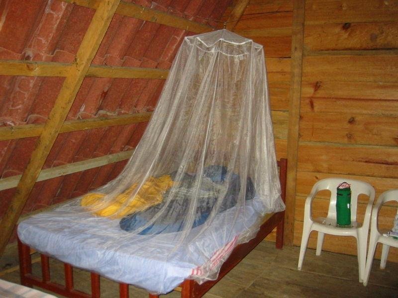 WHOPES insecticide mosquito net export to Africa 5