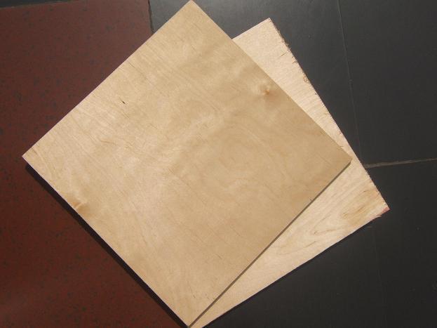 poplar/birch plywood