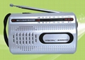 FM/AM 2 BAND WORLD RECEIVER