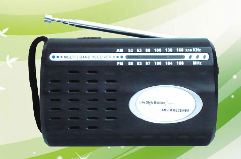 FM/AM 2 BAND WORLD RECEIVER 4