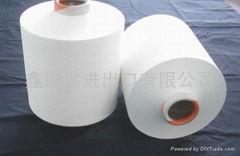 Polyester Yarn(DTY,FDY,POY)