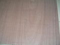 pecil cedar plywood