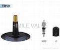 Passenger Car tyre valves