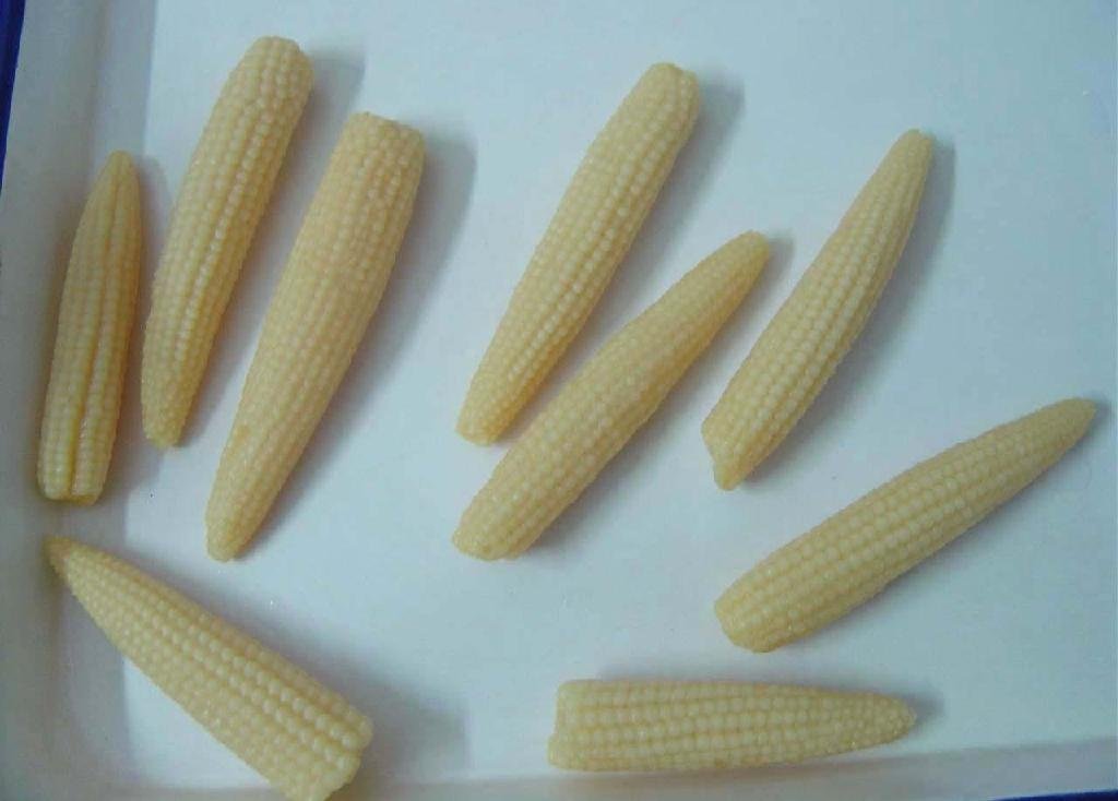 canned baby corn 2
