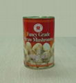 canned straw mushroom