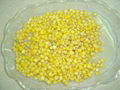 canned sweet corn