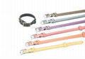 pet collars and leashes 2