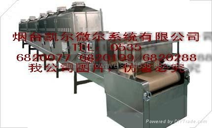 Peanut microwave drying and baking equipment 4