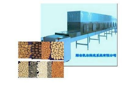 Grain microwave drying and baking equipment 4