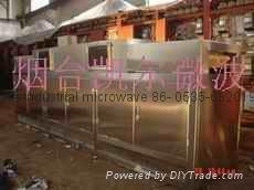 Microwave drying kiln (dry boxes) 