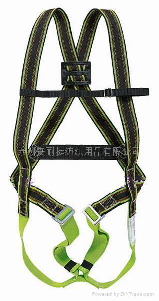 safety harness 2
