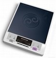 Induction Cooker 3