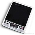 Induction Cooker 3