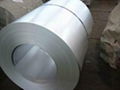 galvalume steel coil 2