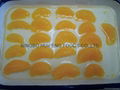 canned mandarin orange 1