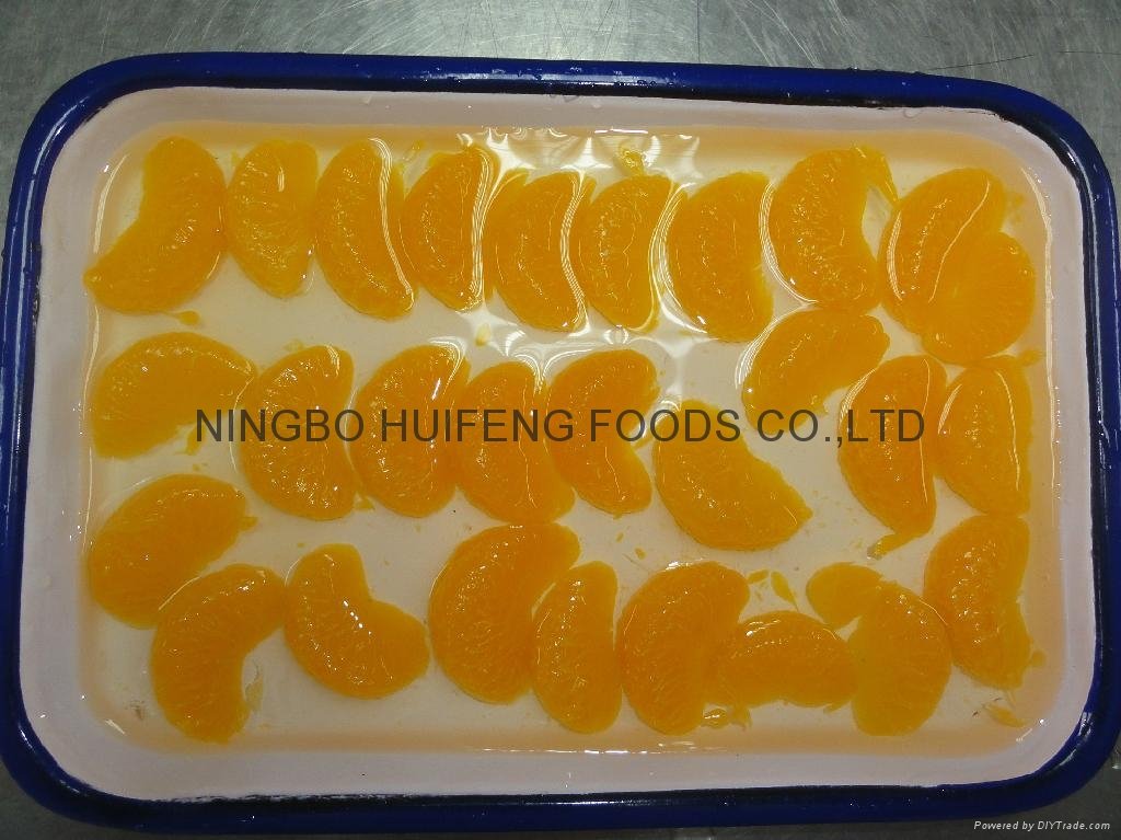canned mandarin orange 2