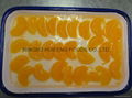 canned mandarin orange 2